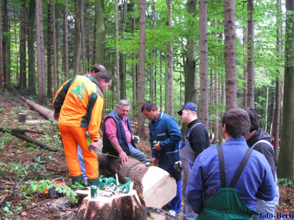 Mlajnik 2011 - foto povečava