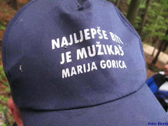 Mlajnik 2011 - foto