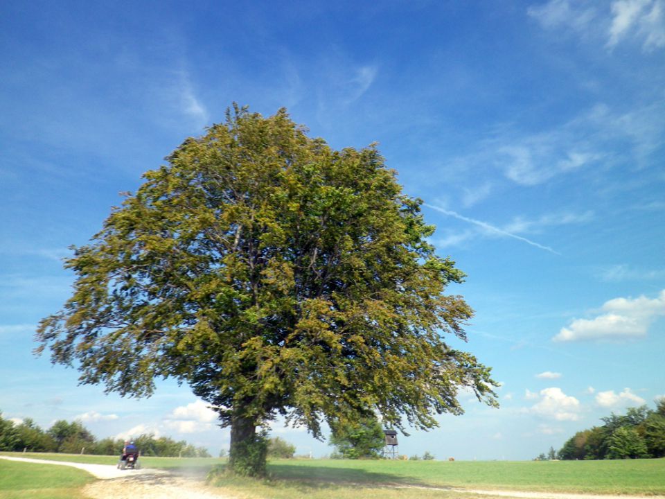 Senovo - foto povečava