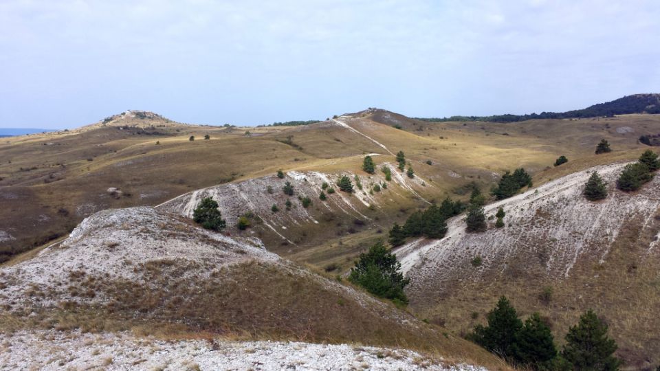 Vožnje 2013 - foto povečava