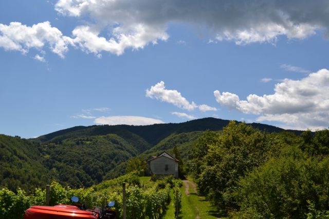 Hrvaška - foto