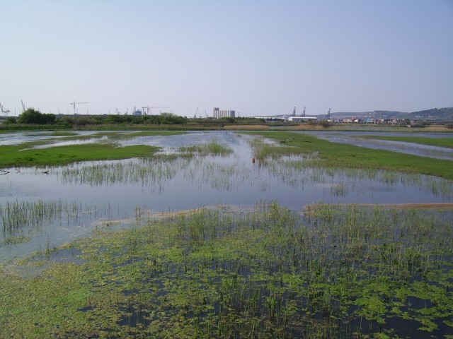 Neustvarjalno - foto