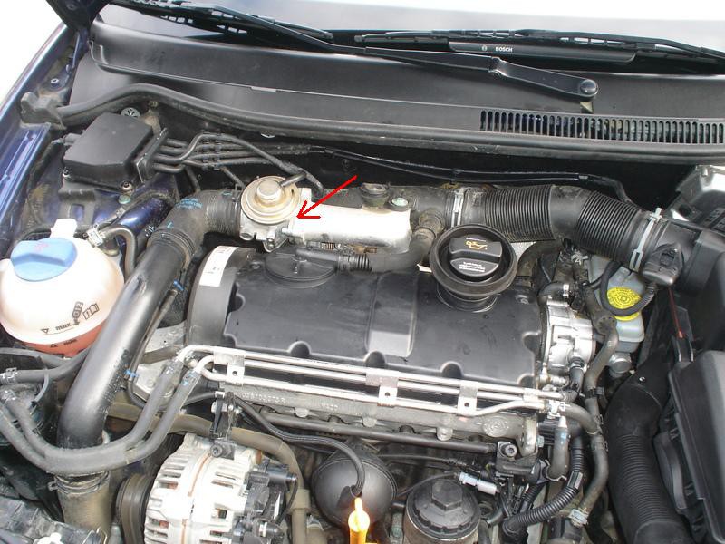 Octavia - foto povečava