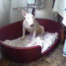 Bax in his new bunk