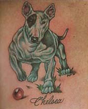 Old bull pictures and tattoos - foto