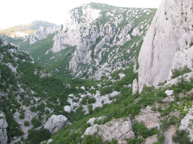 PAKLENICA - foto