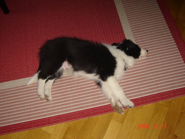 Uhh...''crknjeno'' (spi, da nebo pomote :) )
