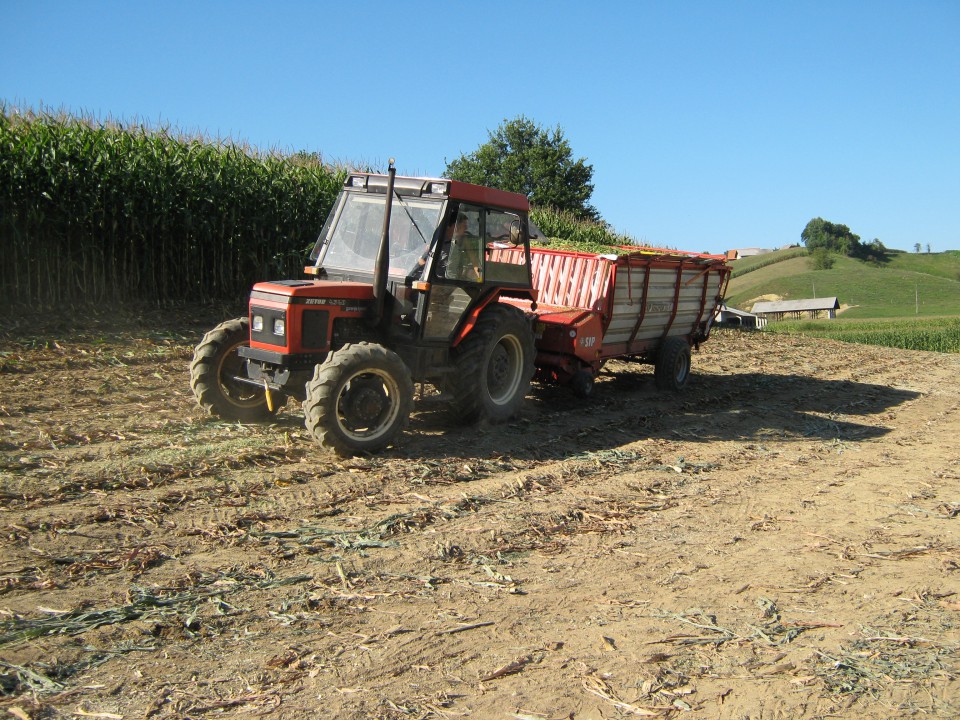 Siliranje 2009 - foto povečava