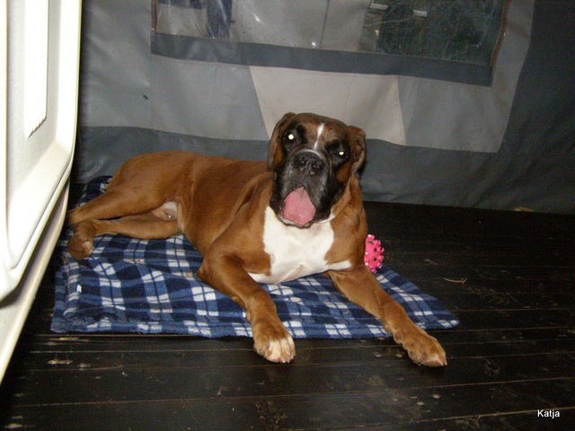 Krk09 - foto