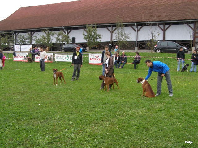 OBF 09 - foto povečava