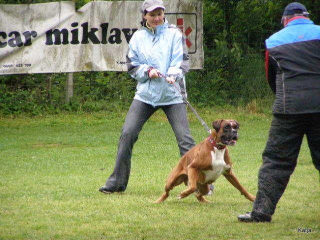 Piknik - foto