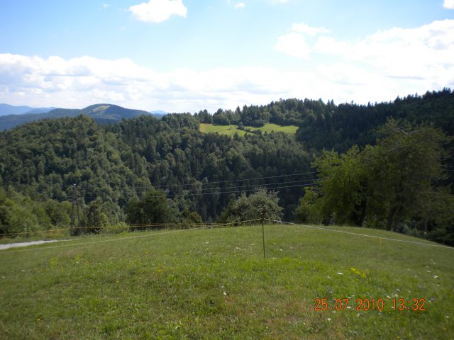 Teci teci - foto