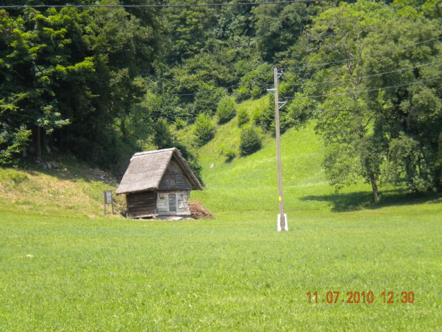 Teci teci - foto
