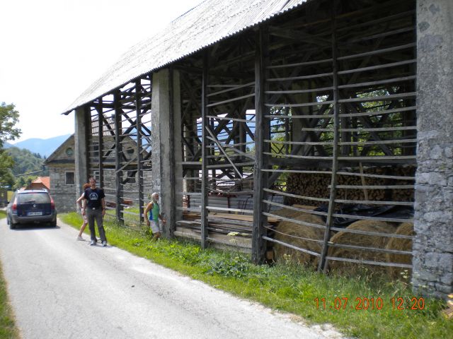 Teci teci - foto