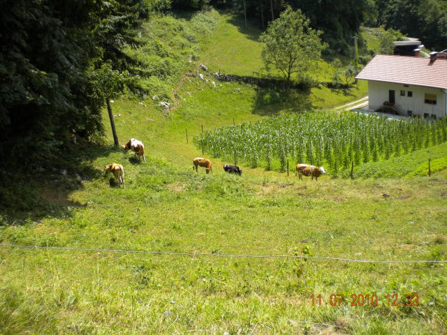 Tek na bevkov vrh - foto