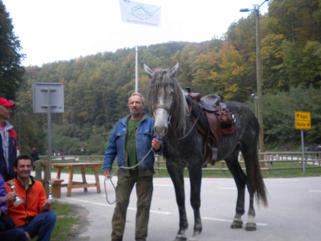 Vojnić - foto