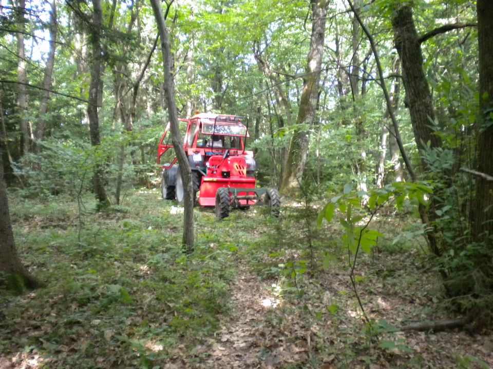 Pa smo šli po mlaj - foto povečava