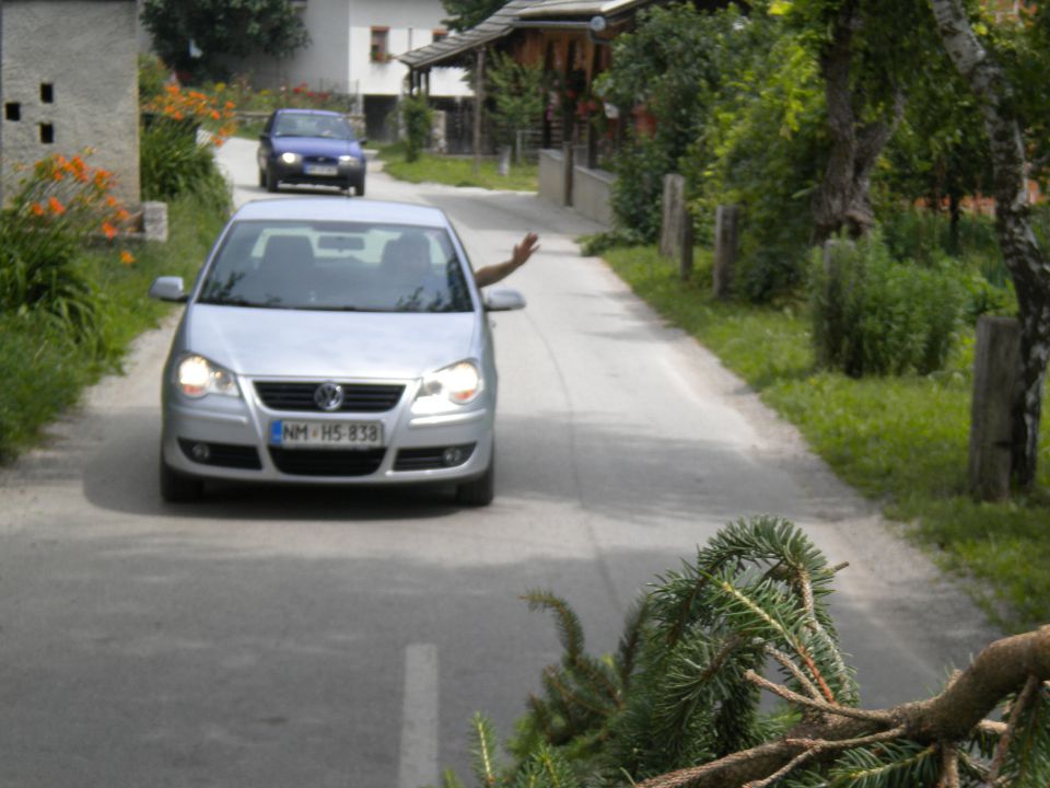 Pa smo šli po mlaj - foto povečava