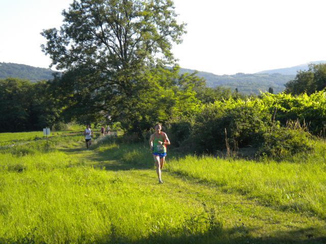 Dobravlje - foto