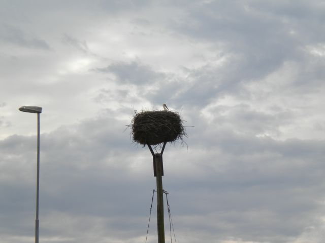Monošter 30.07.11 - foto