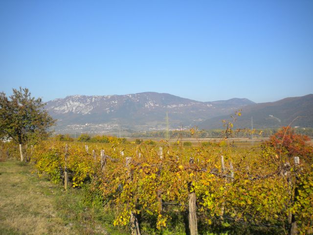 Draganič 6. 11. 2011 - foto