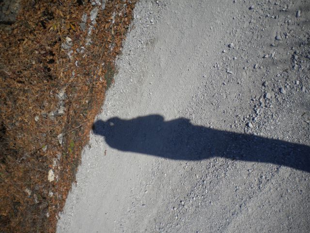 Japetič 2011 - foto