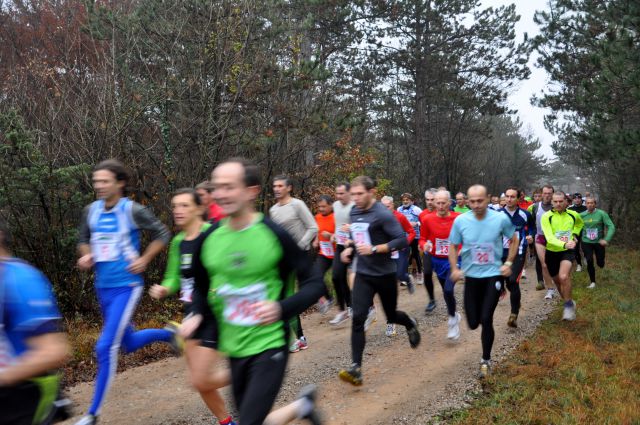 Štanjelski tek, 3. 12. 2011 - foto