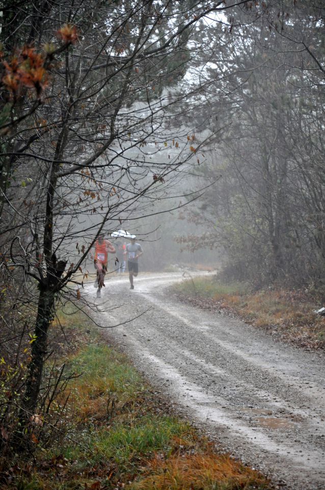 Štanjelski tek, 3. 12. 2011 - foto povečava