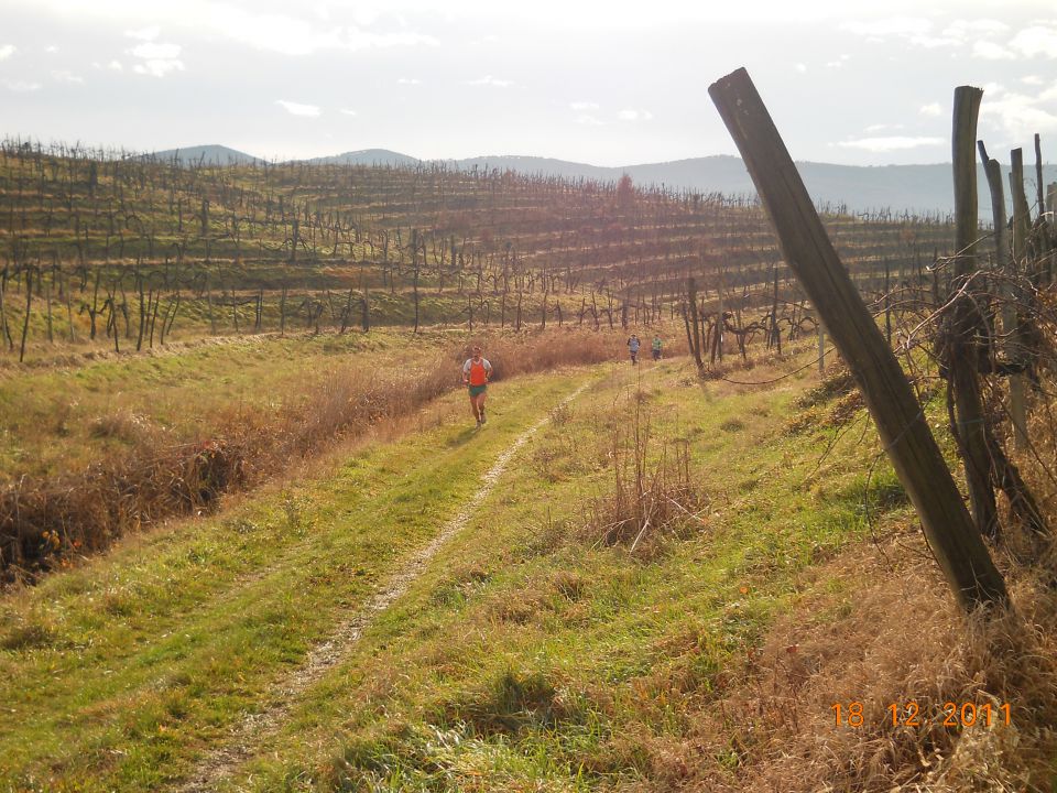 Vertojba 18.12.11 - foto povečava