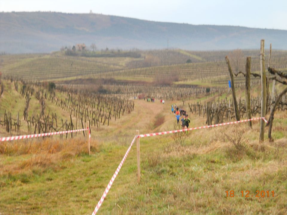 Vertojba 18.12.11 - foto povečava