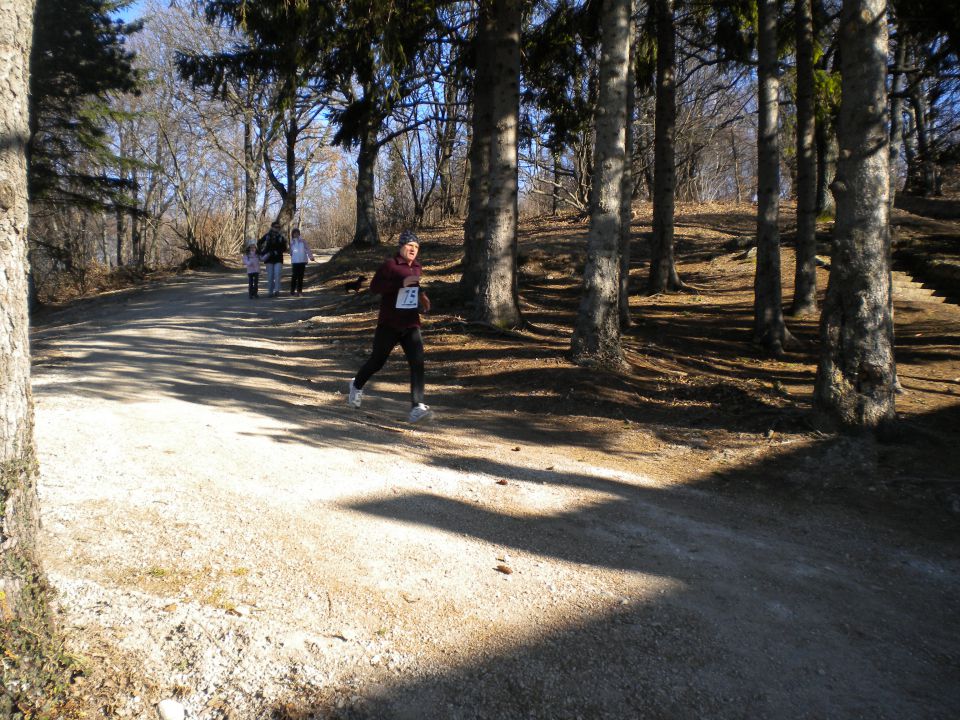 Japetič 15.01.2012 - foto povečava