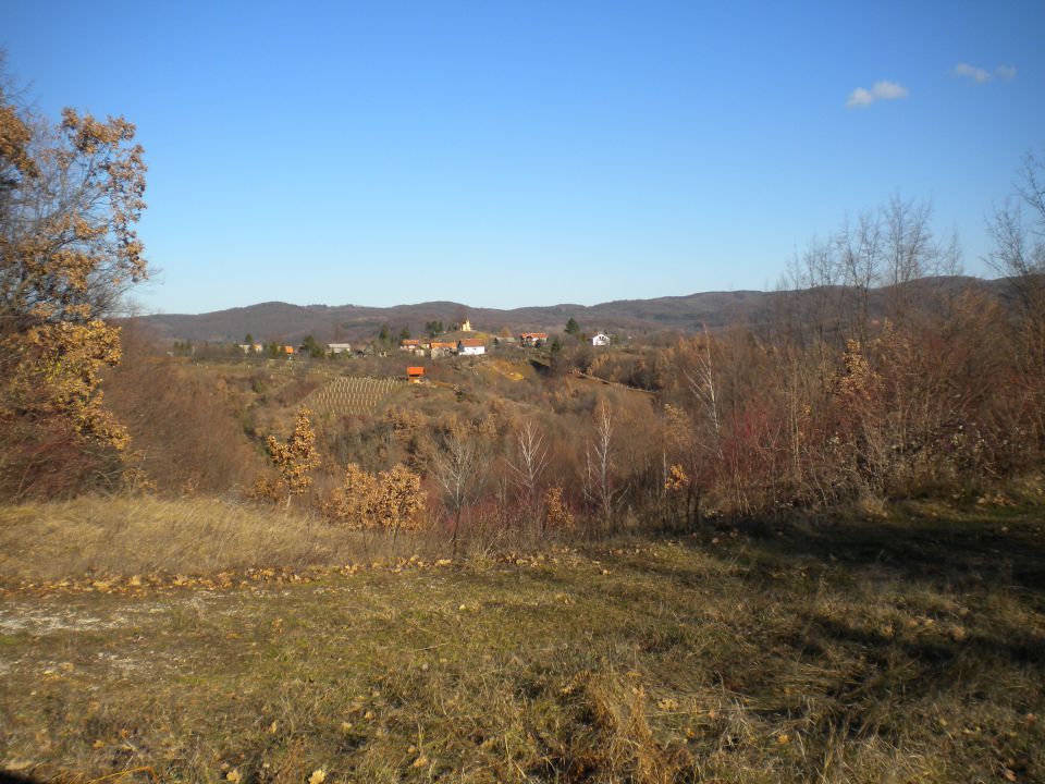 Japetič 15.01.2012 - foto povečava