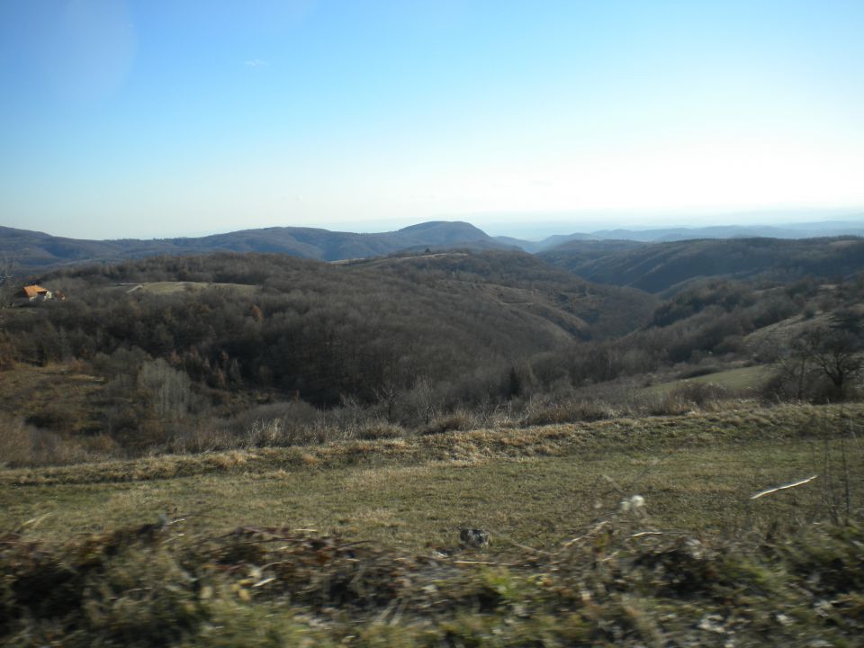 Japetič 15.01.2012 - foto povečava