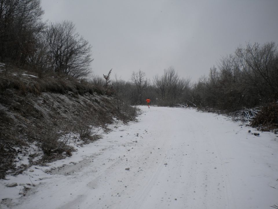 Japetič 29.01. in 12.02. 2012 - foto povečava