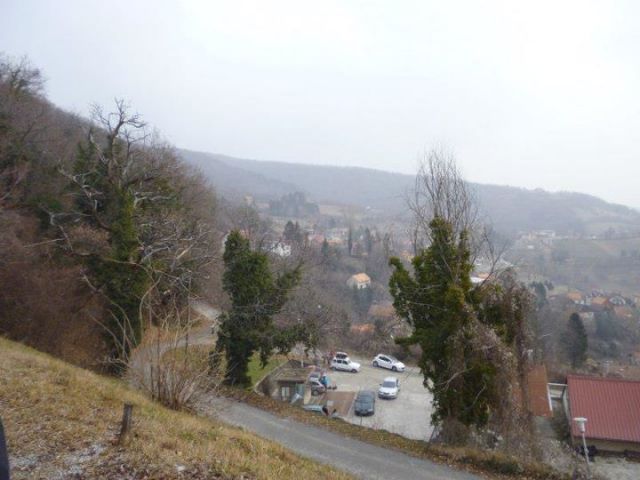 Japetič 29.01. in 12.02. 2012 - foto