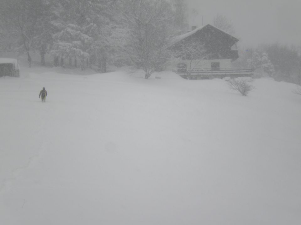 Japetič 29.01. in 12.02. 2012 - foto povečava