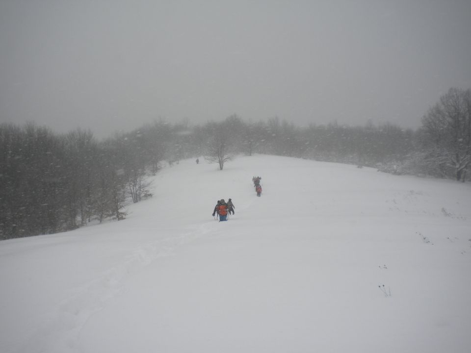 Japetič 29.01. in 12.02. 2012 - foto povečava