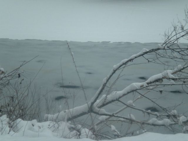 Japetič 29.01. in 12.02. 2012 - foto