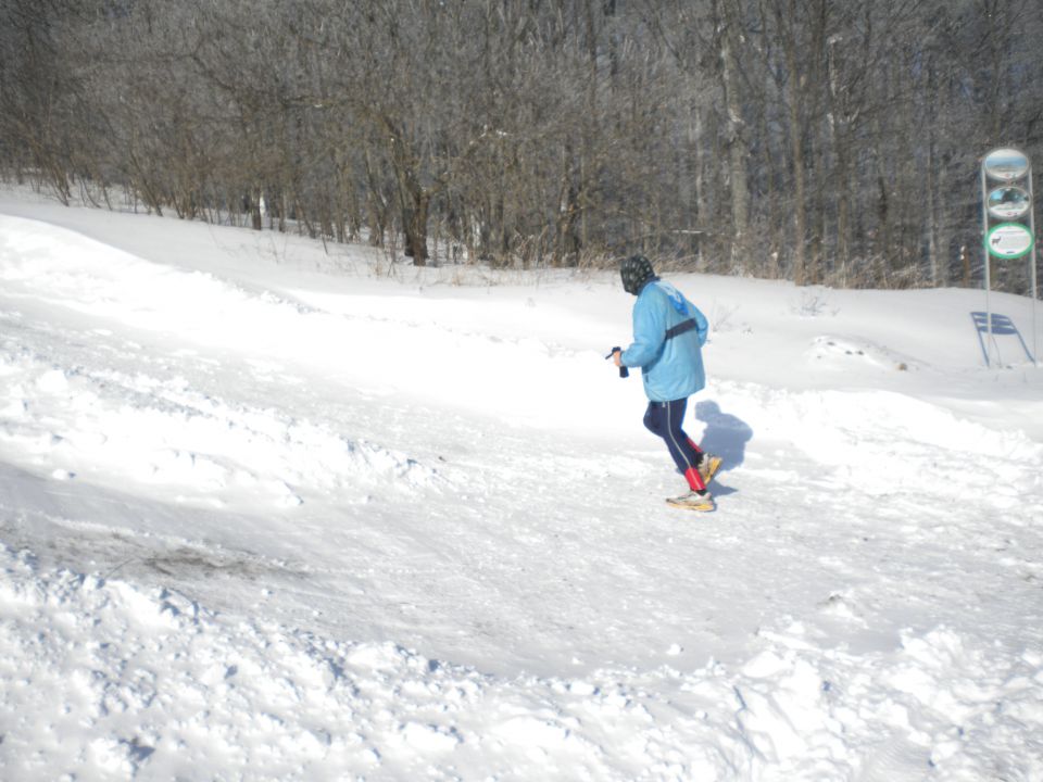 Gorjanci 8.2.2012 - foto povečava