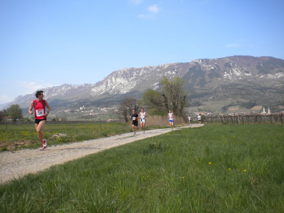 Vipava 12 - foto povečava