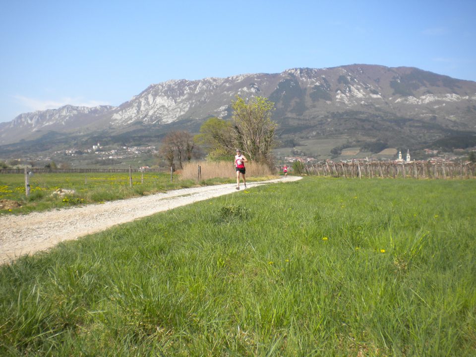 Vipava 12 - foto povečava