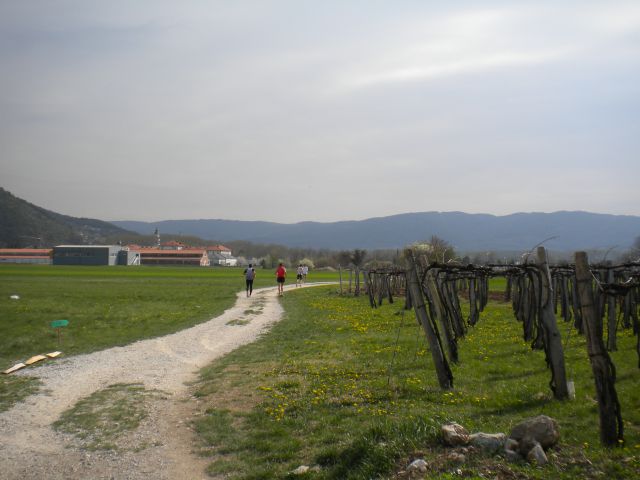 Vipava 12 - foto