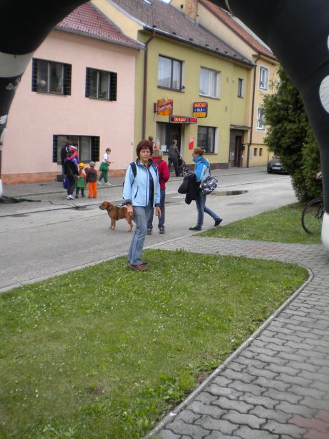 Horní Stropnice - foto