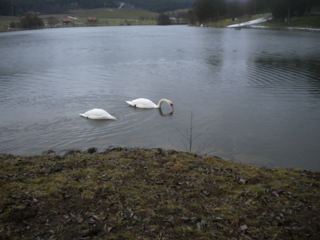 Velensko jezero - foto