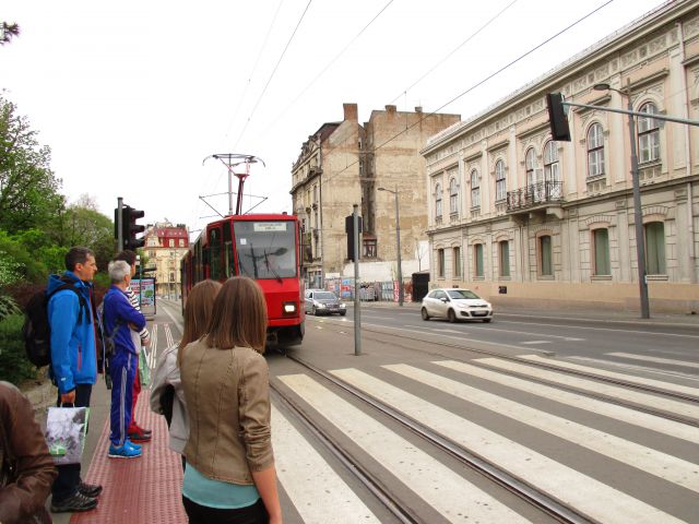 Beograd z maratonom - foto