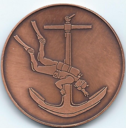 430. mornariški divizion, bronast