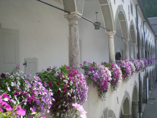 Rožnati balkon v Bistri