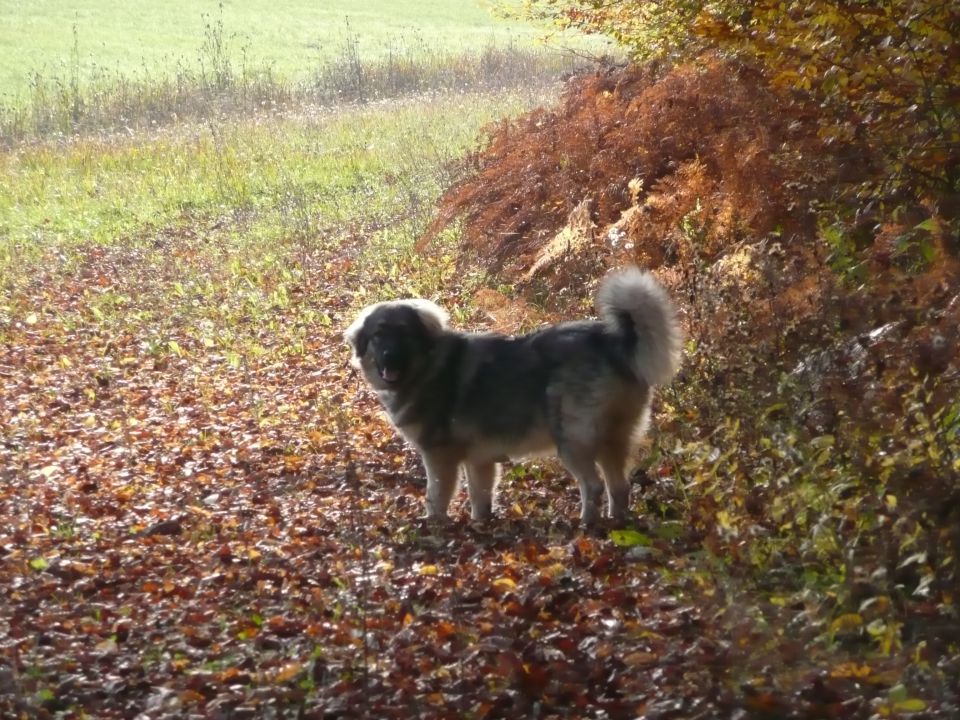 Grom- 6 mesecev - foto povečava