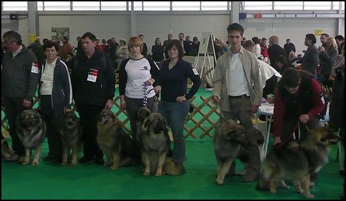 Grom- 10 mesecev - foto povečava