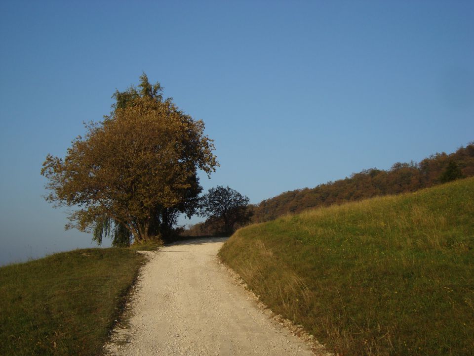 Mrzlica 2008 - 2009 - foto povečava